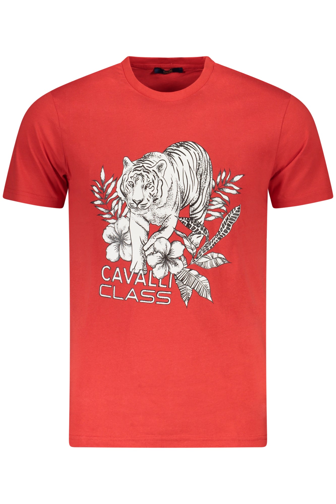 CAVALLI CLASS